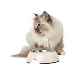 Hunter Melamin Napf - Weiß -ROYAL CANIN Store hunter melamine voer en drinkbak wit 169570 0500 none