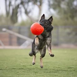 Jolly Soccer Ball 8 Jolly Soccer Ball -ROYAL CANIN Store jolly soccer ball 162241 0500 none