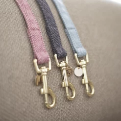 Kentucky Dogwear Hundeleine Wool 24 Kentucky Dogwear Hundeleine Wool -ROYAL CANIN Store kentucky dogwear hondenlijn wool 219690 0500 none