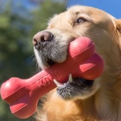 KONG Goodie Bone -ROYAL CANIN Store kong goodie bone 194186 0500 none