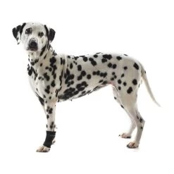 Kruuse Rehab Fesselschutz