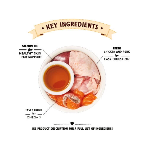 Lily's Kitchen Smooth Paté Kätzchenfutter - Schale 2 Lily's Kitchen Smooth Paté Kätzchenfutter - Schale – Bild 2