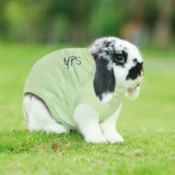 Medical Pet Shirt Kaninchen 7 Medical Pet Shirt Kaninchen -ROYAL CANIN Store medical pet shirt konijn 149891 0500 none