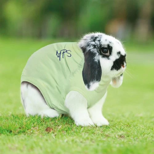 Medical Pet Shirt Kaninchen 4 Medical Pet Shirt Kaninchen - Image 4