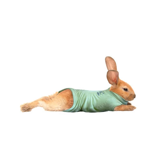 Medical Pet Shirt Kaninchen 2 Medical Pet Shirt Kaninchen - Image 2