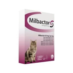 Milbactor Katze 5 Milbactor Katze -ROYAL CANIN Store milbactor kat 176953 0500 none