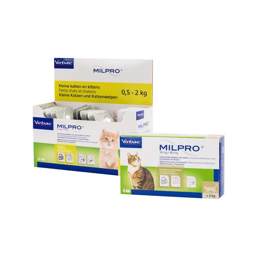 Milpro Katze 1 Milpro Katze