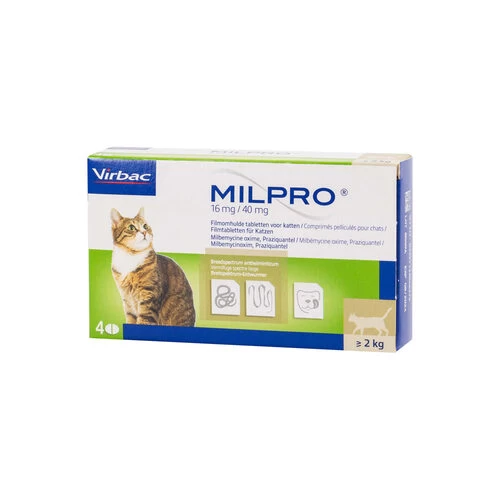 Milpro Katze 3 Milpro Katze – Bild 3