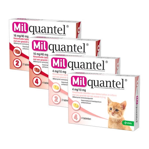 Milquantel Katze 1 Milquantel Katze