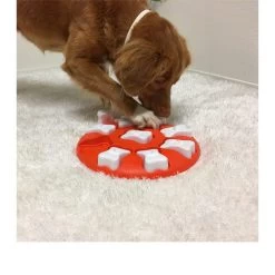 Nina Ottosson Dog Smart 12 Nina Ottosson Dog Smart -ROYAL CANIN Store nina ottosson dog smart 96035 0500 none