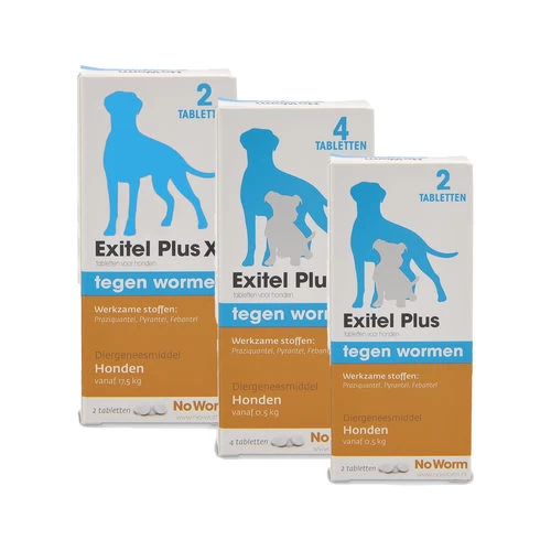 No Worm Exitel Plus Hund 1 No Worm Exitel Plus Hund