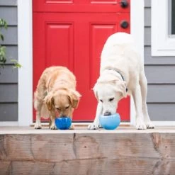 Planet Dog Orbee-Tuff Lil’ Snoop Toy -ROYAL CANIN Store orbee tuff lil snoop toy 203408 0500 none