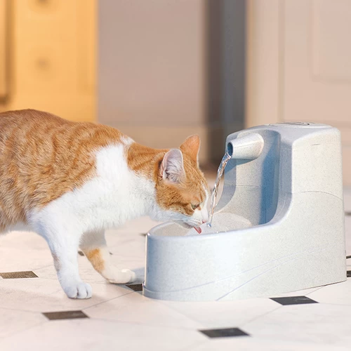 Petsafe Drinkwell Mini-Trinkbrunnen 2 Petsafe Drinkwell Mini-Trinkbrunnen - Image 2