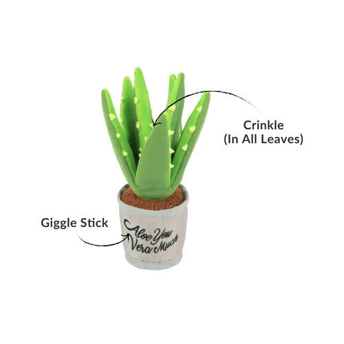 P.L.A.Y. Pet Blooming Buddies - Aloe-ve You Plant 3 P.L.A.Y. Pet Blooming Buddies - Aloe-ve You Plant – Bild 3