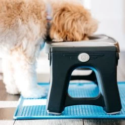 Popware Pet Bowl Grippmat 7 Popware Pet Bowl Grippmat -ROYAL CANIN Store popware pet bowl grippmat 164719 0500 none