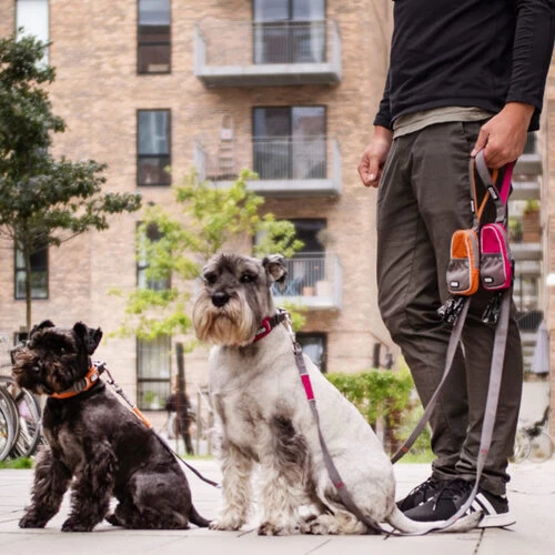 DOG Copenhagen Urban Trail Leine 2 DOG Copenhagen Urban Trail Leine – Bild 2