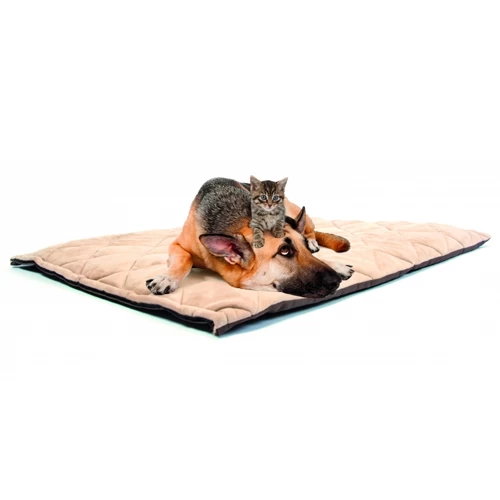 Duvo+ Flectabed Q 1 Duvo+ Flectabed Q