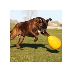 Jolly Egg -ROYAL CANIN Store product jolly egg none 4 1496839893 86965