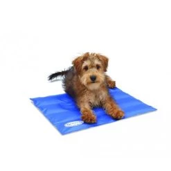 Scruffs Cooling Mat -ROYAL CANIN Store product scruffs cooling mat none 4 1472200006 76957