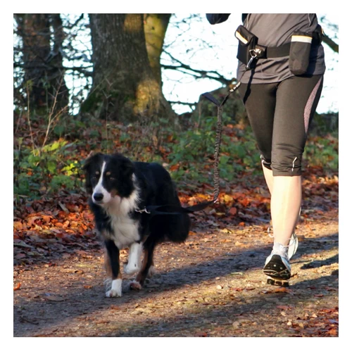 Trixie Bauchgurt Mit Leine 2 Trixie Bauchgurt Mit Leine – Bild 2