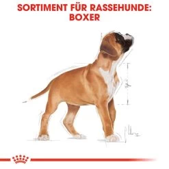 Royal Canin Boxer Puppy - Hundefutter -ROYAL CANIN Store royal canin boxer puppy hondenvoer 137491 0500 none