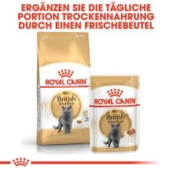 Royal Canin British Shorthair Adult - Katzenfutter 11 Royal Canin British Shorthair Adult - Katzenfutter -ROYAL CANIN Store royal canin british shorthair adult kattenvoer 137551 0500 none