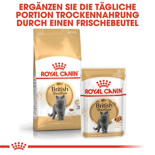 Royal Canin British Shorthair Adult - Katzenfutter 5 Royal Canin British Shorthair Adult - Katzenfutter – Bild 5