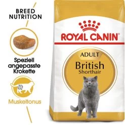 Royal Canin British Shorthair Adult - Katzenfutter