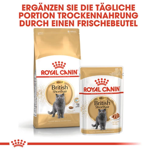 Royal Canin British Shorthair Adult Wet - Katzenfutter 5 Royal Canin British Shorthair Adult Wet - Katzenfutter – Bild 5