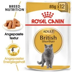 Royal Canin British Shorthair Adult Wet - Katzenfutter