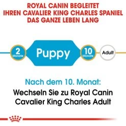 Royal Canin Cavalier King Charles Puppy - Hundefutter 13 Royal Canin Cavalier King Charles Puppy - Hundefutter -ROYAL CANIN Store royal canin cavalier king charles puppy hondenvoer 137905 0500 none
