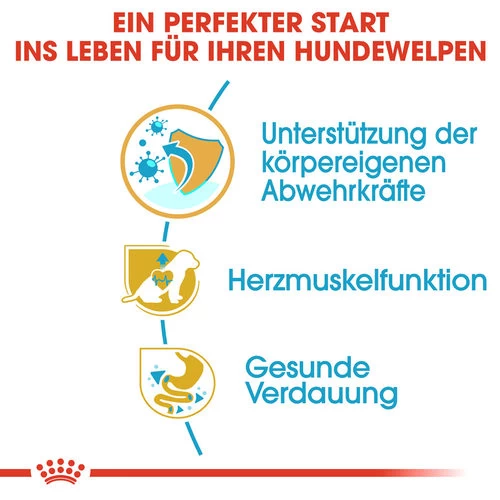 Royal Canin Cavalier King Charles Puppy - Hundefutter 3 Royal Canin Cavalier King Charles Puppy - Hundefutter – Bild 3