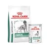 Royal Canin Diabetic Hund