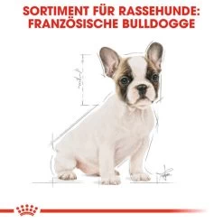 Royal Canin French Bulldog Puppy - Hundefutter -ROYAL CANIN Store royal canin french bulldog puppy hondenvoer 138718 0500 none
