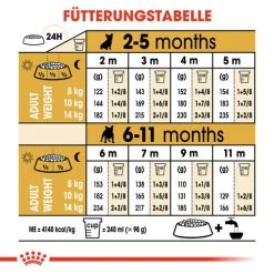 Royal Canin French Bulldog Puppy - Hundefutter -ROYAL CANIN Store royal canin french bulldog puppy hondenvoer 138727 0500 none