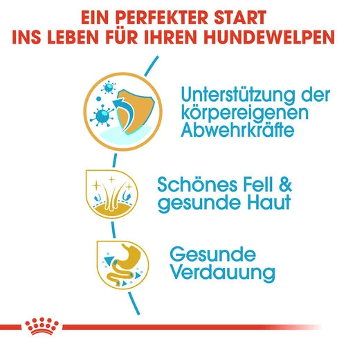 Royal Canin Golden Retriever Puppy - Hundefutter 2 Royal Canin Golden Retriever Puppy - Hundefutter – Bild 2