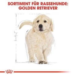 Royal Canin Golden Retriever Puppy - Hundefutter 11 Royal Canin Golden Retriever Puppy - Hundefutter -ROYAL CANIN Store royal canin golden retriever puppy hondenvoer 138958 0500 none