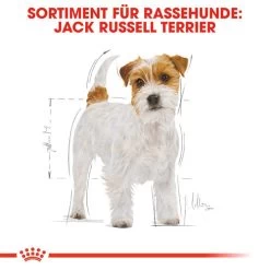 Royal Canin Jack Russell Terrier Adult - Hundefutter -ROYAL CANIN Store royal canin jack russell terrier adult hondenvoer 139060 0500 none
