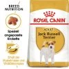Royal Canin Jack Russell Terrier Adult - Hundefutter