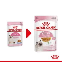 Royal Canin Kitten In Jelly - Katzenfutter 5 Royal Canin Kitten In Jelly - Katzenfutter -ROYAL CANIN Store royal canin kitten in jelly kattenvoer 207116 0500 none