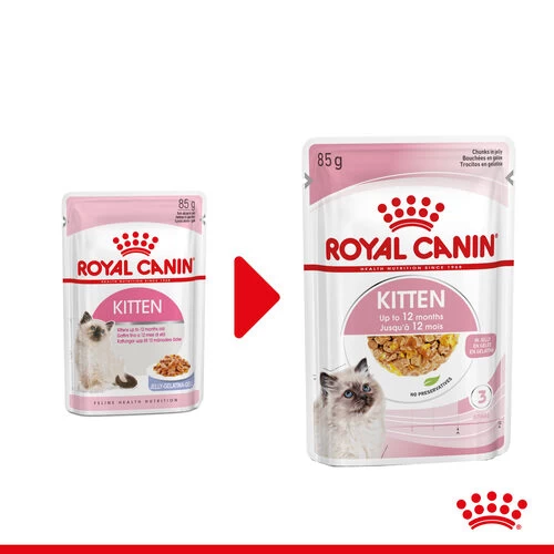 Royal Canin Kitten In Jelly - Katzenfutter 3 Royal Canin Kitten In Jelly - Katzenfutter – Bild 3