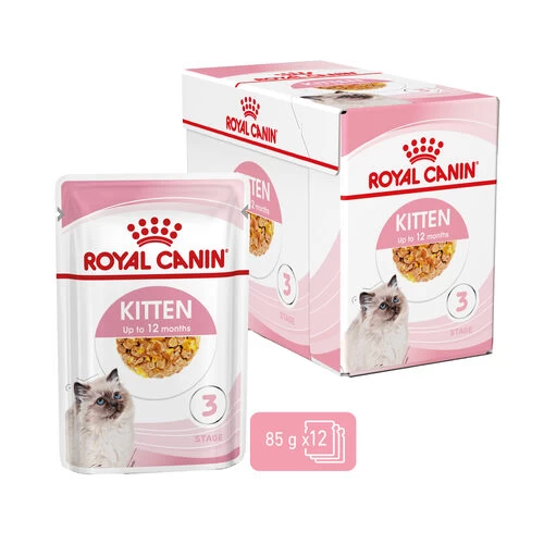 Royal Canin Kitten In Jelly - Katzenfutter 1 Royal Canin Kitten In Jelly - Katzenfutter