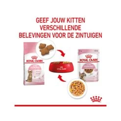 Royal Canin Kitten Sterilised Gelee - Beutel 15 Royal Canin Kitten Sterilised Gelee - Beutel -ROYAL CANIN Store royal canin kitten sterilised in jelly maaltijdzakje 207212 0500 none