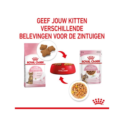 Royal Canin Kitten Sterilised Gelee - Beutel 5 Royal Canin Kitten Sterilised Gelee - Beutel – Bild 5