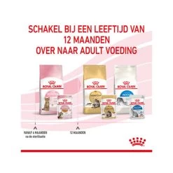Royal Canin Kitten Sterilised Gelee - Beutel 18 Royal Canin Kitten Sterilised Gelee - Beutel -ROYAL CANIN Store royal canin kitten sterilised in jelly maaltijdzakje 207221 0500 none
