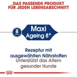 Royal Canin Maxi Ageing 8+ - Hundefutter 11 Royal Canin Maxi Ageing 8+ - Hundefutter -ROYAL CANIN Store royal canin maxi ageing 8 hondenvoer 128699 0500 none