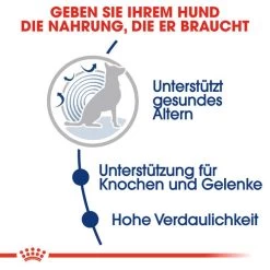 Royal Canin Maxi Ageing 8+ - Hundefutter 10 Royal Canin Maxi Ageing 8+ - Hundefutter -ROYAL CANIN Store royal canin maxi ageing 8 hondenvoer 128705 0500 none