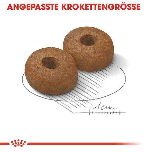 Royal Canin Maxi Ageing 8+ - Hundefutter 5 Royal Canin Maxi Ageing 8+ - Hundefutter - Image 5