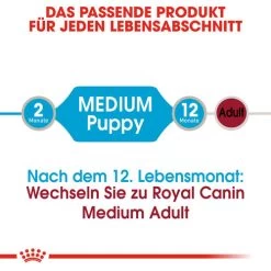 Royal Canin Medium Puppy Wet 12 Royal Canin Medium Puppy Wet -ROYAL CANIN Store royal canin medium puppy wet 129245 0500 none