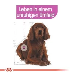 Royal Canin Medium Relax Care - Hundefutter 10 Royal Canin Medium Relax Care - Hundefutter -ROYAL CANIN Store royal canin medium relax care hondenvoer 131183 0500 none